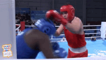 Boxing Amateur Boxing GIF - Boxing Amateur Boxing Red Corner GIFs
