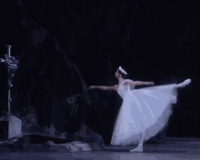 Giselle Ballet GIF - Giselle Ballet Bolshoi GIFs