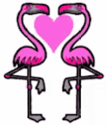 Flamingo Heart GIF - Flamingo Heart Love GIFs