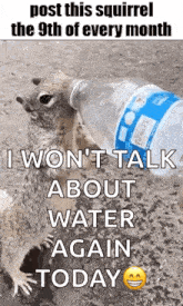 a squirrel is holding a bottle of water and says `` i won t talk about water again today '' .