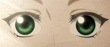 a close up of a girl 's green eyes