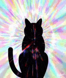 Cats Silhouette Light Speed Travel GIF - Cats Silhouette Light Speed Travel Vector Art GIFs