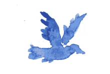 Flying Blue Bird GIF