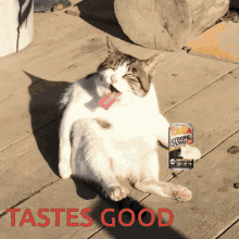 Drunk Cat GIF - Drunk Cat Tastes Good GIFs