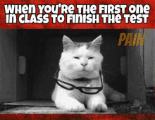Kitty Deal W Ith It GIF - Kitty Deal W Ith It When Your The First One In Class To Finish The Test GIFs