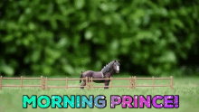 Good Morning GIF - Good Morning Horse GIFs