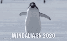 Windalia 2020 GIF - Windalia 2020 Minecraft GIFs
