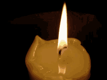 Candle Light GIF - Candle Light Lit GIFs