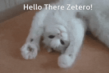 Zetero Hello GIF - Zetero Hello Hi GIFs