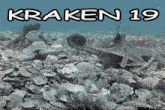an octopus is laying on a coral reef with the words kraken 19 below it