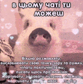 a picture of a pig with hearts around it and the words " в цьому чаті tu можеш "