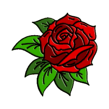 redrose redroses