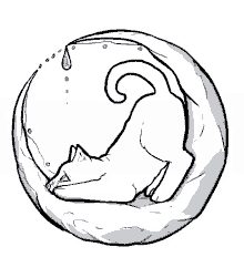 cat moon