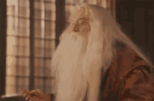 Albus Dumbledore Dumbledore GIF - Albus Dumbledore Dumbledore Que Pena GIFs