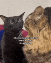 Cat Dissociate GIF - Cat Dissociate GIFs