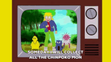 pokemon chinpoko mon fight evil power