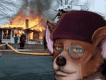 a dog wearing a purple hat stands in front of a house on fire