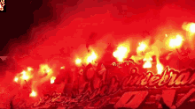 Hannover96 H96 GIF - Hannover96 H96 Ultras GIFs