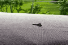 Peaceout Worm GIF - Peaceout Worm GIFs