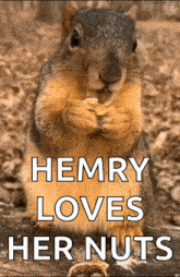 a picture of a squirrel with the words henry loves her nuts