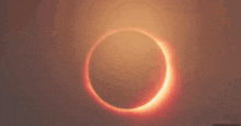 2024 Eclipse Eclipse 2024 GIF