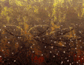 a painting of a butterfly on a wall with a few drops of water on it