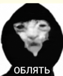 a black and white photo of a cat wearing a black hoodie with russian writing on it