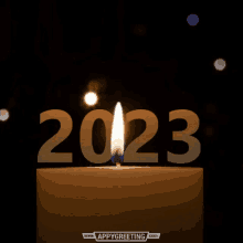 2023 New Year2023 GIF - 2023 New Year2023 Frohes Neues Jahr2023 GIFs