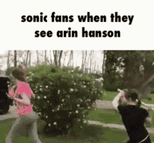 Sonic Game Grumps GIF - Sonic Game Grumps Arin Hanson GIFs