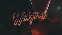 Wayne Concert GIF - Wayne Concert On Stage GIFs