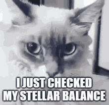 Stellar Balance Stellar Memes GIF - Stellar Balance Stellar Memes Stellar GIFs