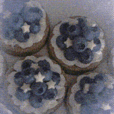 four cupcakes with blueberries and white frosting in a box