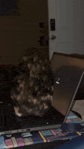 a cat laying on top of a laptop with a dog in the background