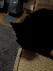 a black dog is laying on a couch in a room