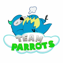 team parrots sleeping chill relax