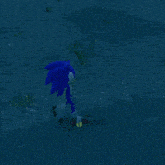 sonic the hedgehog is walking on a rocky surface in the water .