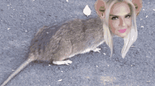 Rat Cancun GIF