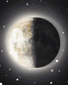 Moon Crypto GIF