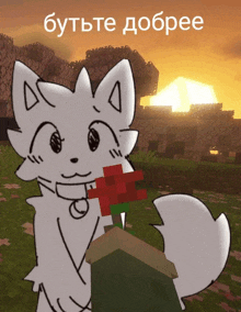 a drawing of a white cat holding a red rose with a sunset in the background and the words butete dobbee above it