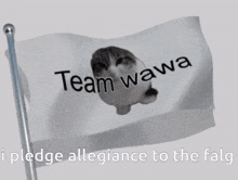 Wawa Flag GIF - Wawa Flag Team Wawa GIFs