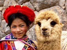 Llama Peruana GIF - Llama Peruana GIFs