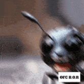 a blurred image of an ant with the words ofc b.o.r. on the bottom