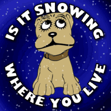 Is It Snowing Where You Live GIF