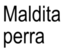 a white background with the words maldita perra in black letters