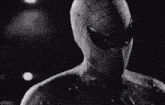 a black and white photo of a spider-man in a spiderman suit .