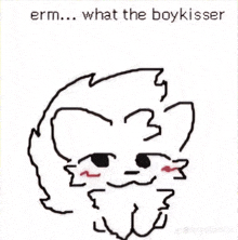 a drawing of a person with the words " what the boykisser " written above it