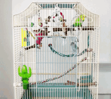 Bird Cage Pacing GIF
