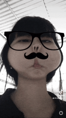a woman wearing glasses and a fake mustache has tiktok written in the corner