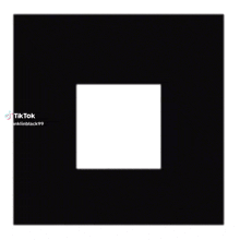 a black and white optical illusion that says tiktok k99 on the bottom