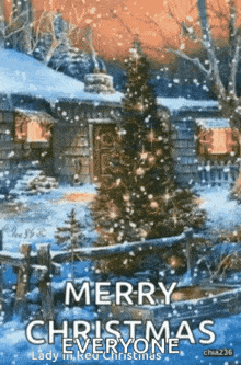Merry Christmas Snow GIF - Merry Christmas Snow Christmas Tree GIFs